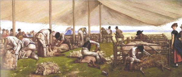 Eyre Crowe A Sheep-Shearing Match oil painting image